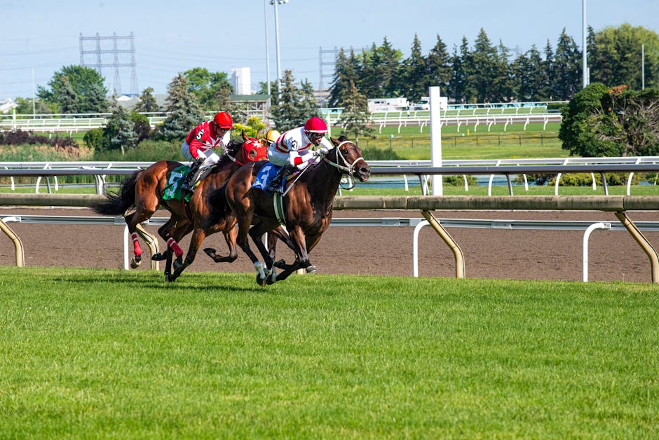 The Thrilling World of Sports Live Betting