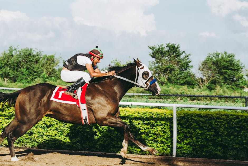 The Thrill of Sports Live Betting: Strategies and Insights
