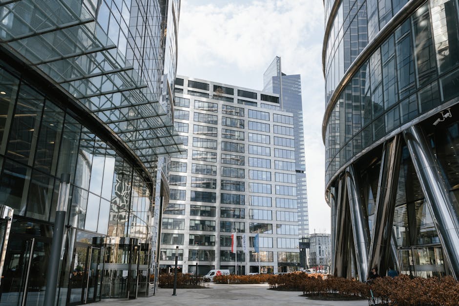 Creating a Dynamic Business Hub for Growth