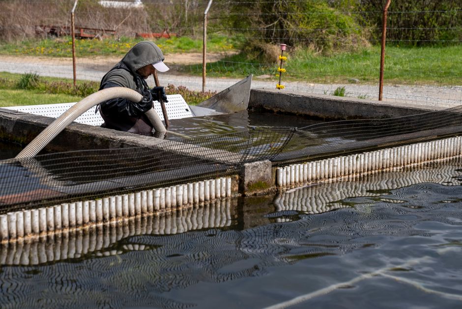 The Essential Guide to Septic Tank Cleaning: Why and How to Do It