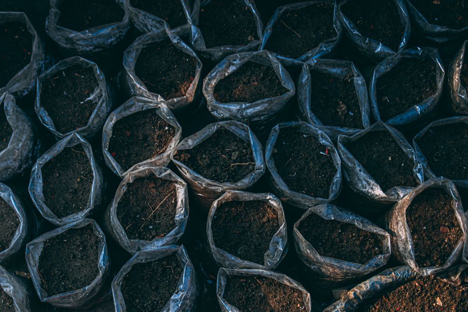 The Essential Guide to Organic Farming Supplies