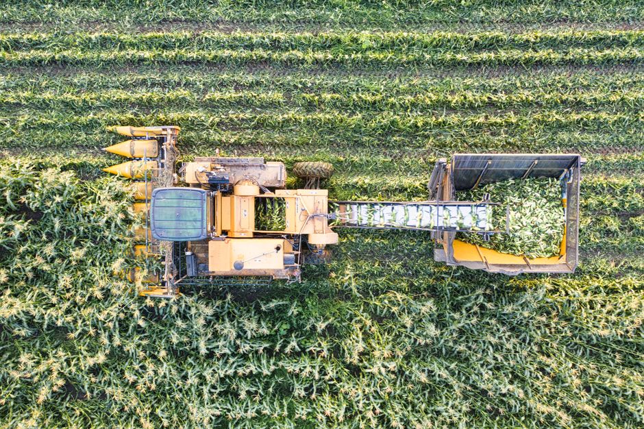 Understanding Crop Insurance: A Safety Net for Farmers