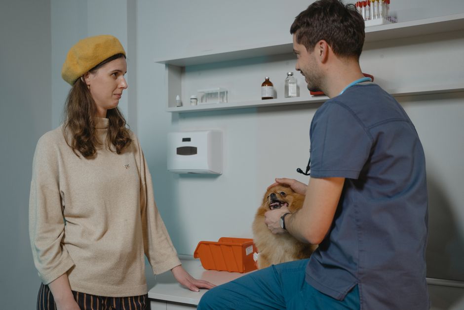 La importacia de elegir una clínica veterinaria de confianza