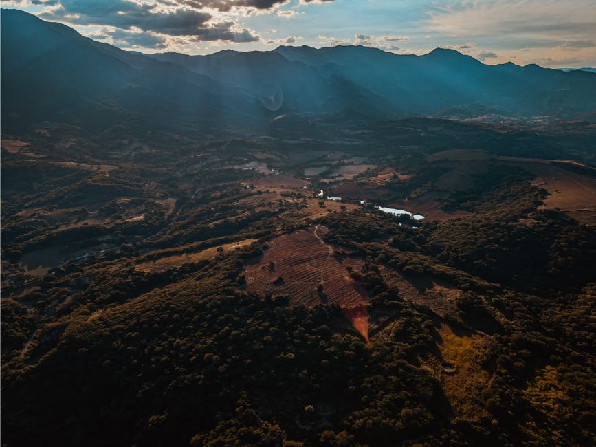 La Importancia de la Empresa de Topografía en Proyectos de Construcción