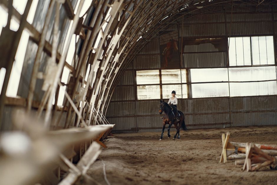 Unlocking the Joy of Horse Riding: A Comprehensive Guide to Lessons