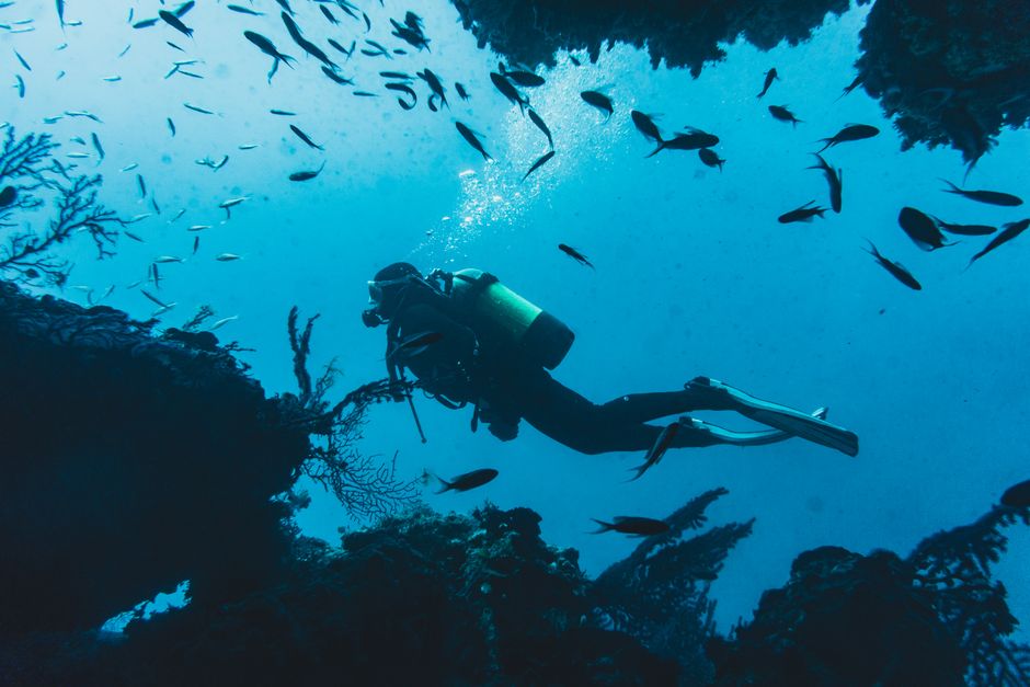 Todo lo que necesitas saber sobre el curso de buceo y su certificación