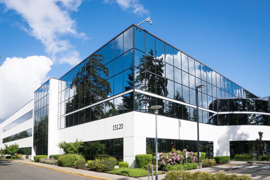 The Essential Guide to Choosing a Window Cleaning Company