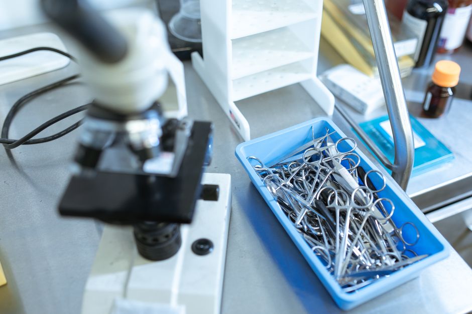Navigating the Landscape of Surgical Instrument Suppliers