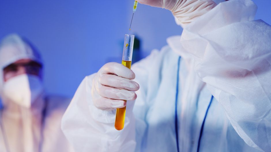 Understanding the Importance of Drug Testing Services